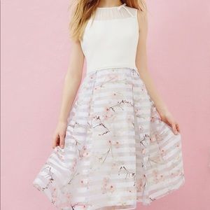 Ted Baker Dress Oriental Blossom Contrast NWT